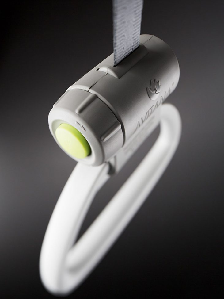 Product fotografie van een bedpapegaai voor AVITANA